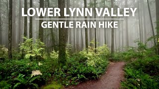 Relaxing Rainy Virtual Hike through Lower Lynn Canyon, North Vancouver BC Canada by Walks Of Wonder 5,528 views 6 months ago 1 hour, 36 minutes