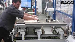BACCI MASTER PRO for cabinet doors shaping & sanding