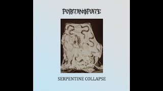 Puritan Opiate - Serpentine Collapse
