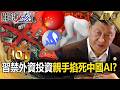 中國AI與經濟危機