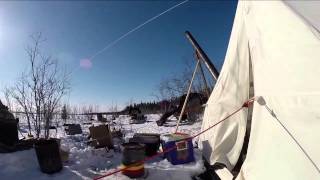 Alaska Dog Sled 2014    Realizacion   Naren Ceja Barba