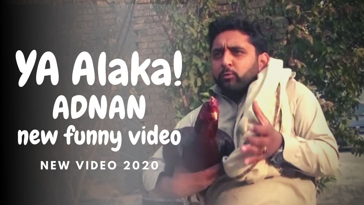 Da ba ase Gup ye | Pk tv Da adnan funny video | Pk vines 2020| Fun army