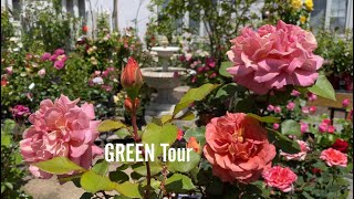 薔薇もアンティークカラーで5月のお庭がもっとお洒落に素敵になる！17世紀のイギリス庭園のような素敵なガーデニングショップ | あいあいパーク |  観葉植物/園芸店巡り | 兵庫/宝塚