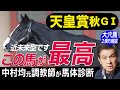 【天皇賞・秋2022】中村均元調教師が馬体診断 シャフリヤール、ジャックドール、イクイノックスなど有力馬を徹底解説 大穴馬2頭も紹介《東スポ競馬ニュース》