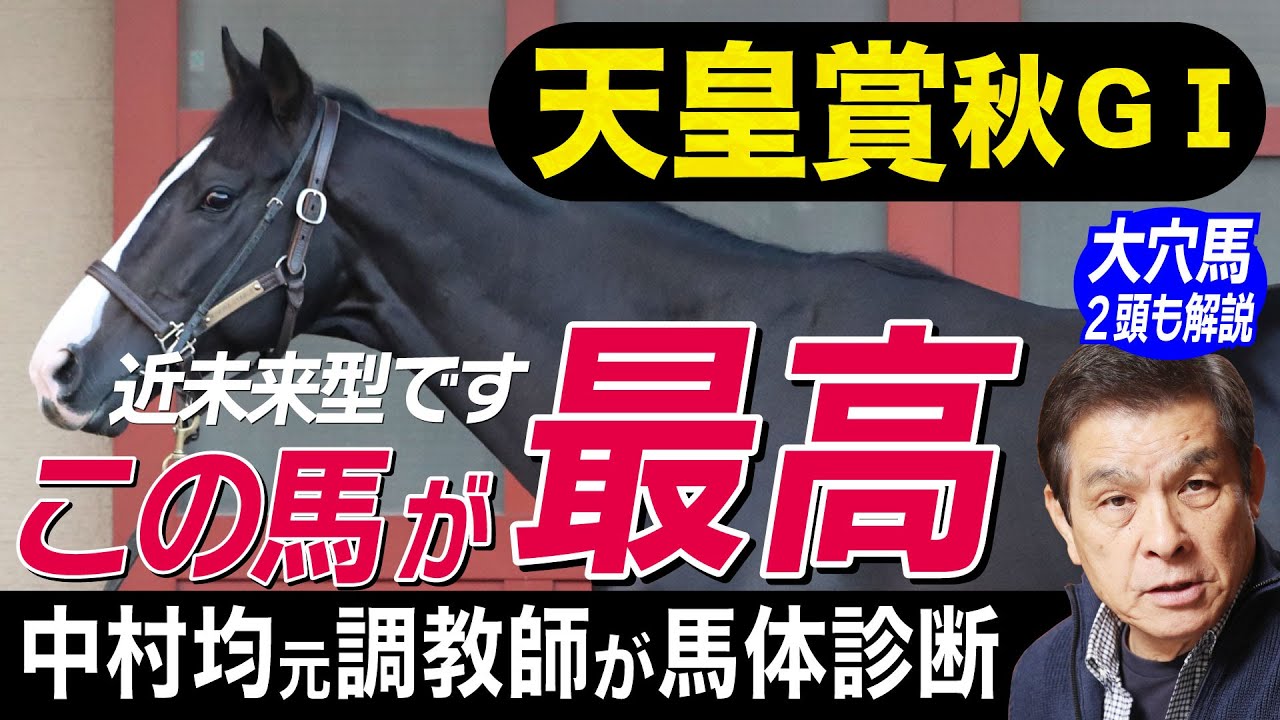天皇賞・秋2022】中村均元調教師が馬体診断 シャフリヤール、ジャック