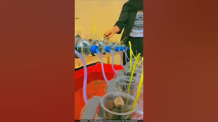 Zero-Cost Veggie & Fish Farm! 🤯 #farming #hydroponics