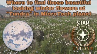 Star Citizen - MicroTech exploration #4 - Tundra's winter flowers location at MicroTech