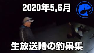 【釣り】2020年5, 6月の釣果集 岩手 青森 東北