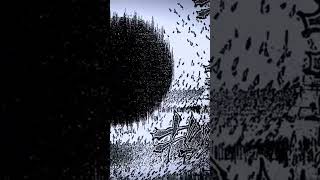 Infinite Void Vs Malevolent Shrine