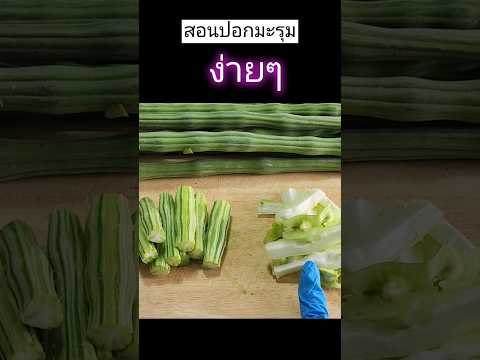 ช่องอร่อยแบบบ้านๆ เหมาะสำหรับคนชอบทำอาหาร แม่บ้านมือใหม่ สูตรทำกิน ทำขาย จบที่ช่องมีครบ