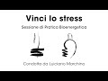 Vinci Lo Stress Sessione Di Bioenergetica Guidata Da Luciano Marchino 