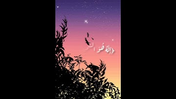 تلاوه للشيخ/وديع اليمني