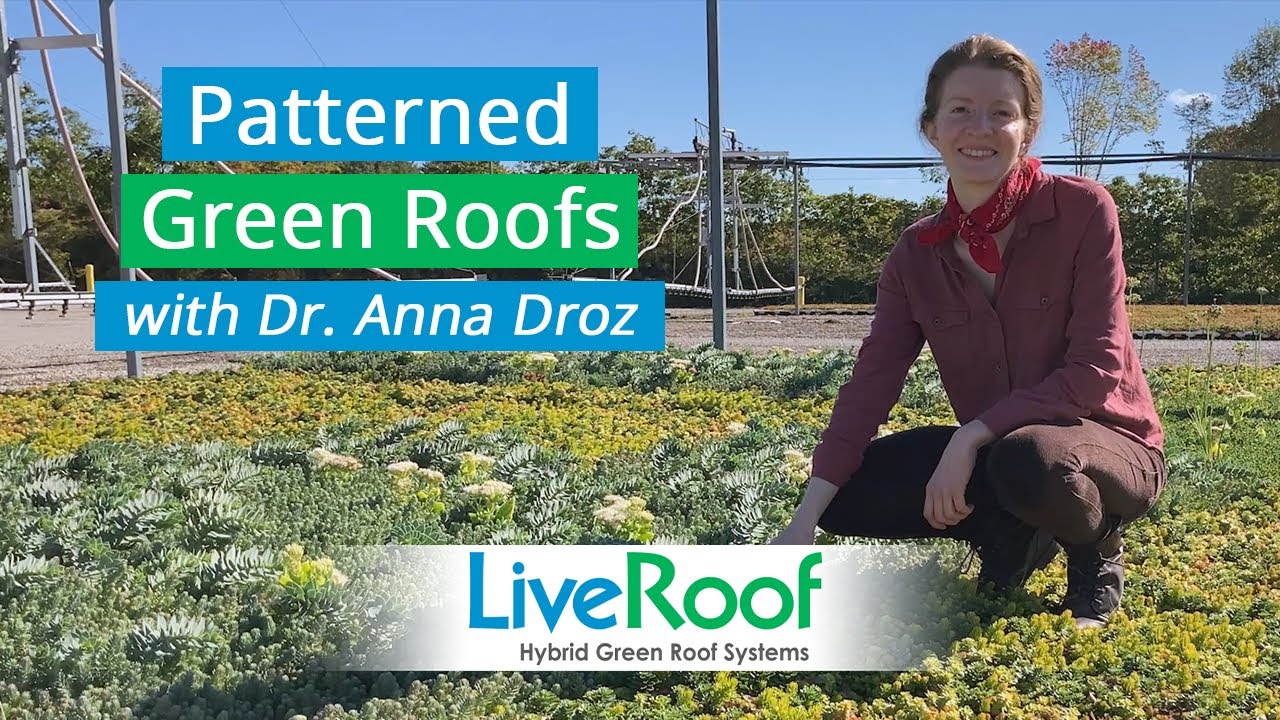 Patterned Green Roof Design & Maintenance Considerations