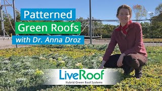 Patterned Green Roof Design & Maintenance Considerations
