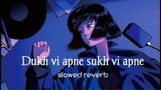 Dukh Vi Apne Sukh Vi Apne (slowed reverb) | Tu Jhoom Song || Dev Lofi