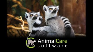 Introducing AnimalCare Software's Welfare Management Tool screenshot 5