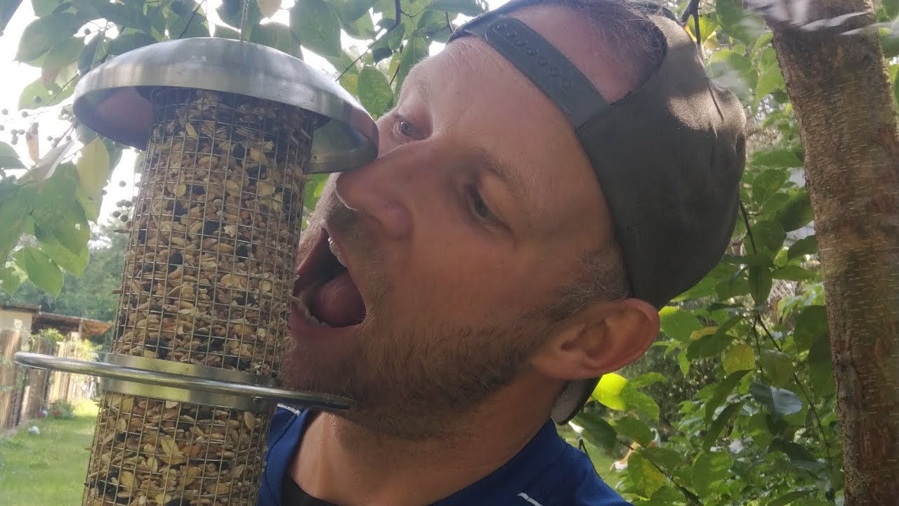 Der Typ hat doch einen Vogel....
Vogelfütterung in Clausis Garten.