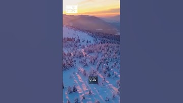 سورة إبراهيم من 50 52