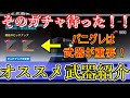 【パニグレ】日本ランキング4位がおススメ武器&入手方法を紹介！【パニシング：グレイレイヴン】