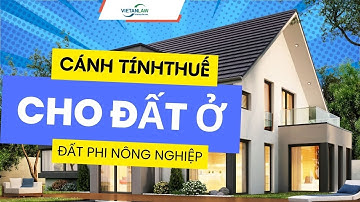 Đất ở phải chịu thuế gì, cánh tính thuế cho đất ở (Đất phi nông nghiệp)