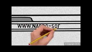 NAPDO'SOFTWARE : "Changer le monde du plus grand au plus petit" screenshot 4