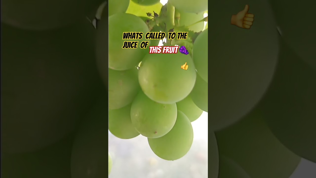 bunch of grapes 🍇