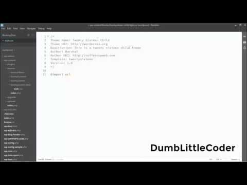 WordPress Child Theme - Importing Stylesheet - Hindi Tutorials
