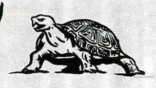 UM Terrapins Thru the Years 1905-1999