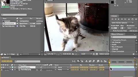 Adobe After Effects CS5 Tutorials - Edit Video, Time Stretch Part No.3