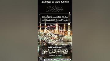 تلاوه طيبه :ماتيسر من سوره الانفال /بصوت القارئ الشيخ: ابي حمزه عيسى المصنف العتمي حفظه الله ورعاه