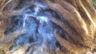 Root Rubbing Technique *Dreads