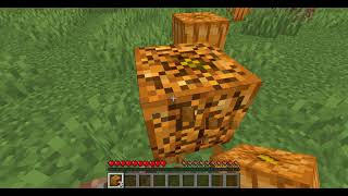Applemines First Youtube  Yay