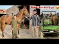 I gifted my subscriber a horse worth lakhs🐎