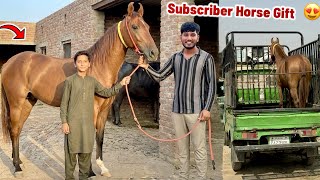 I gifted my subscriber a horse worth lakhs🐎