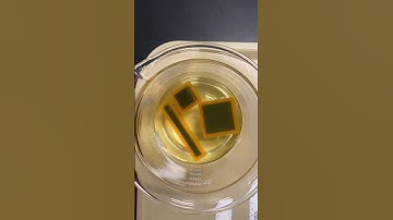 Cell Size Agar Cubes