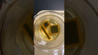 Cell Size Agar Cubes