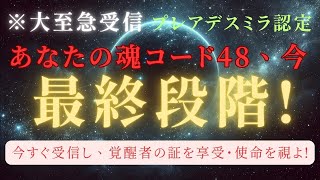 Urgently received! [Soul Code 48: You have entered the final stage] Mission 48 recognized as proo...