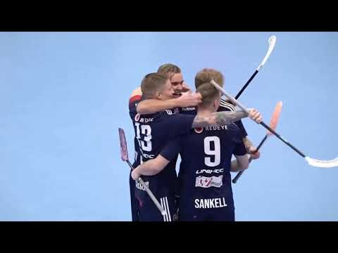 Växjö Vipers vs