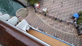 Royal Princess Balcony Cabin B121