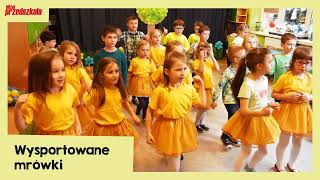 Wysportowane Mrówki Piosenka Dla Dzieci