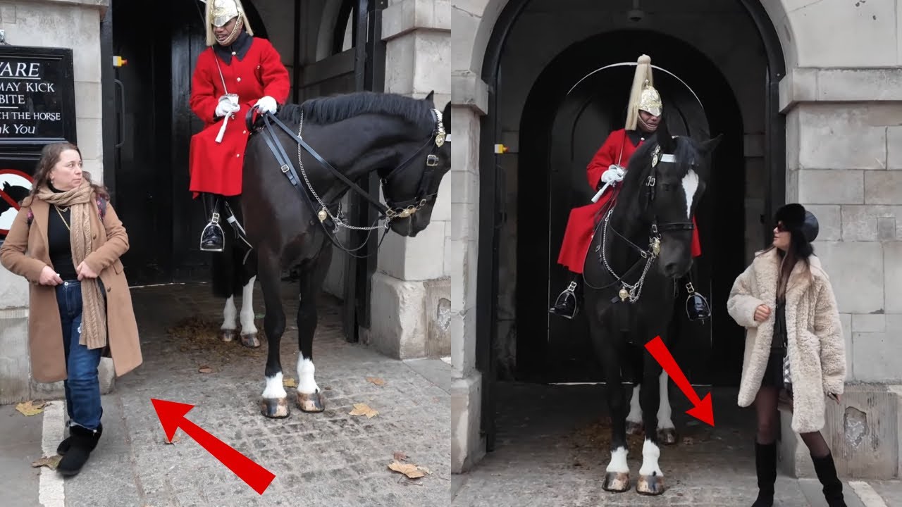 Best Guard and Tourists Moments at Horse Guards London. 