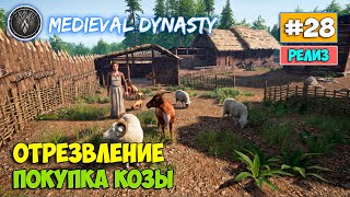 Medieval Dynasty #28 - Отрезвление Кестрел - Охота и выживание