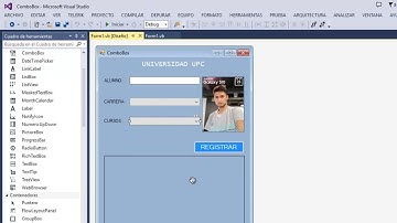 Cómo programar los ComboBox y los DataGridView - Formulario de registros
