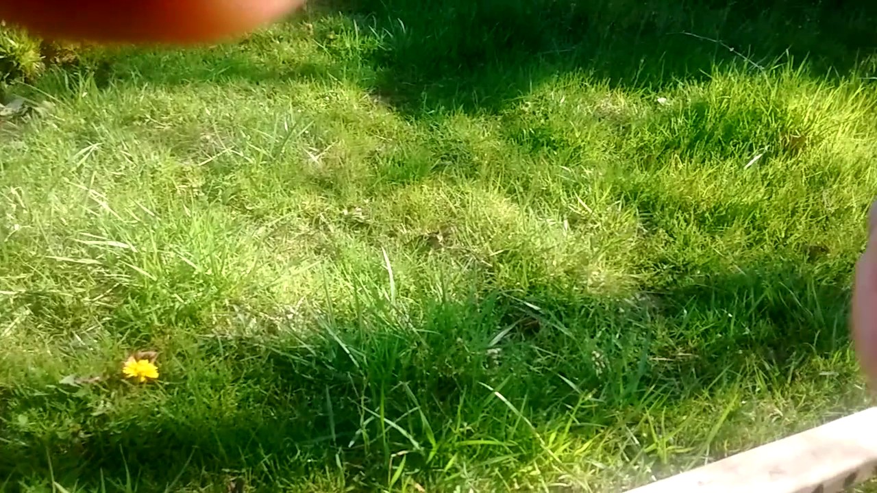 Flash powder sensitivity test. - YouTube