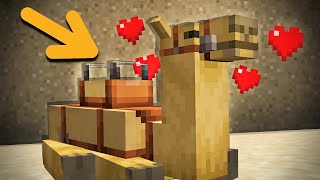 How to Find and Tame Camels in Minecraft 1.20 (Trails &amp; Tales)