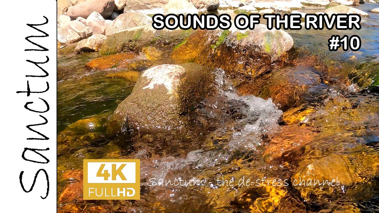 SOUNDS OF THE RIVER 10 YouTube