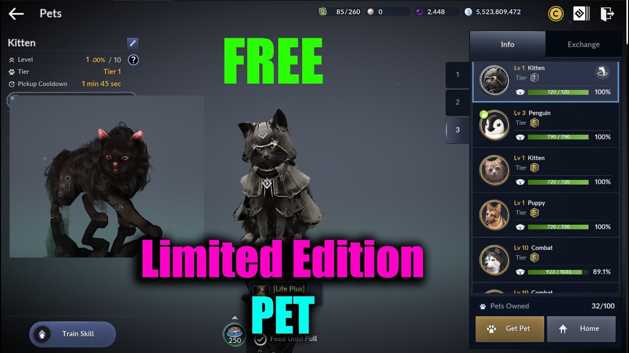 Black Desert Mobile Free Limited Edition Pet Caped Cat & Heiland Jr