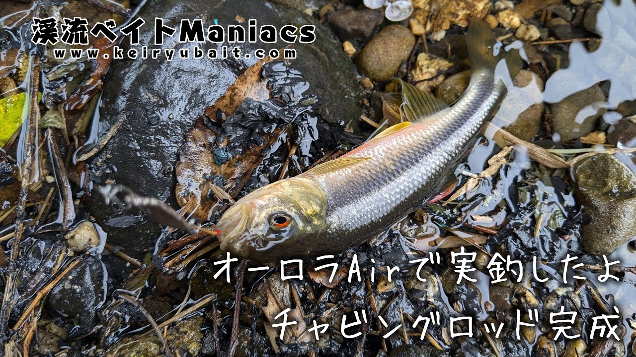 ハイスター オーロラエアー ロッド セット 渓流 チャビング アジング ベイト ハイスター オーロラエアー ロッド セット 渓流 チャビング アジング