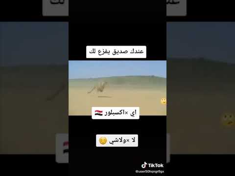 اسرع من يشيء
