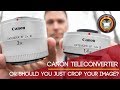 Canon Teleconverter - or should you just crop your image?